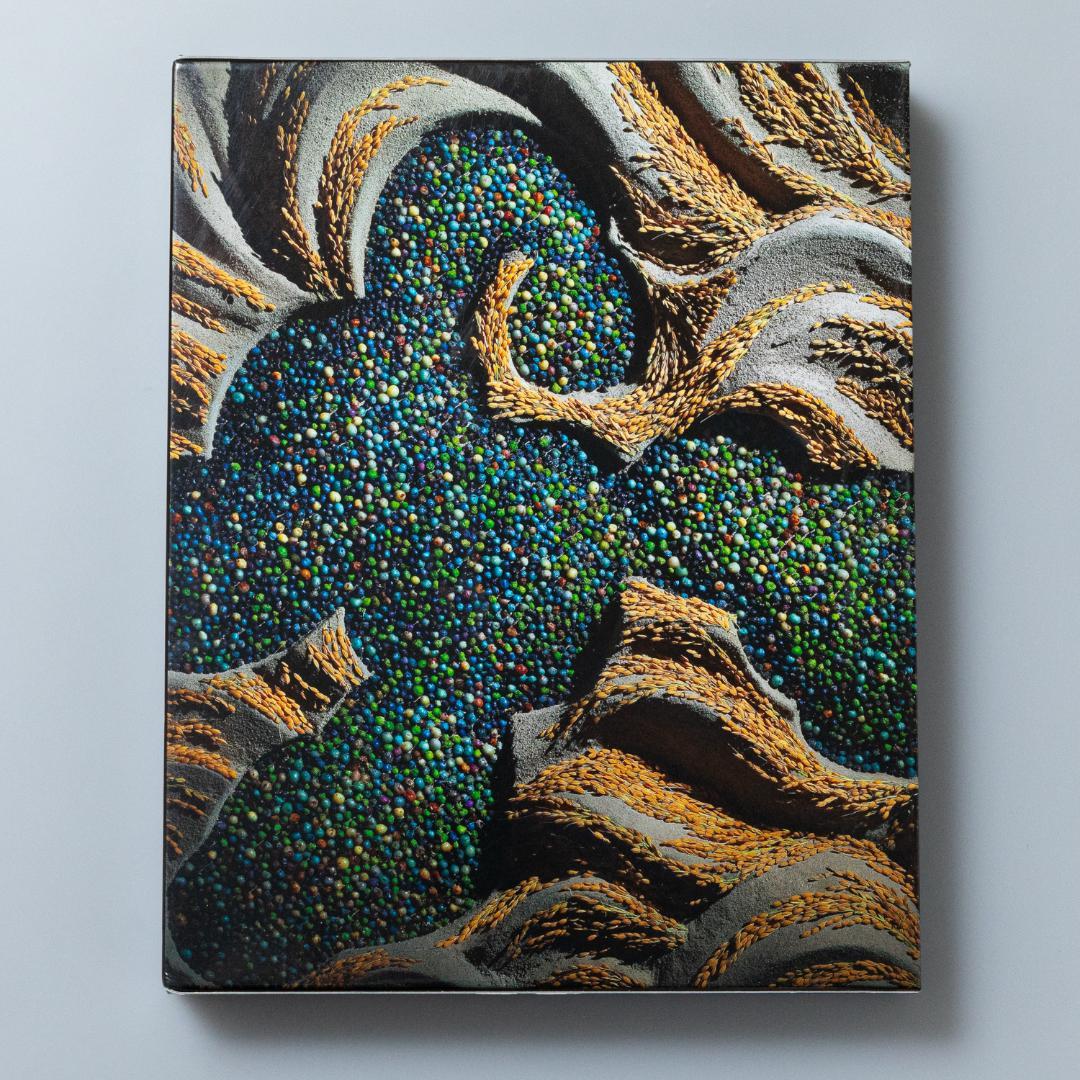 DANIEL OST in JAPAN アートブック - メルカリ