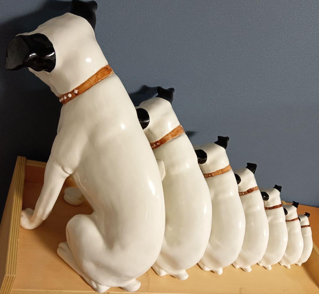 ビクター ニッパー犬 ニッパー 特大44cm～ 7匹 手渡し希望 千葉県