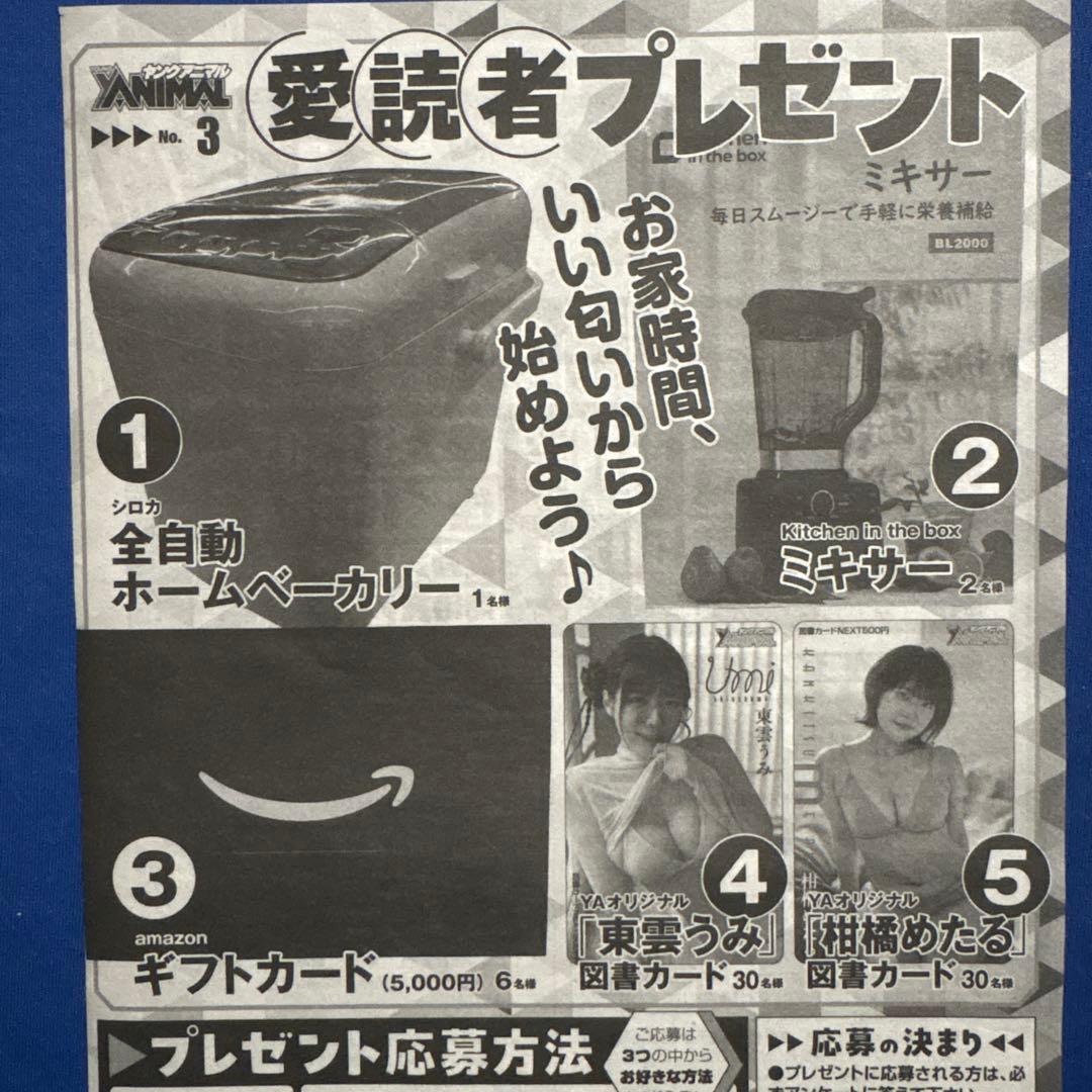 YA3号 東雲うみ サイン入りチェキ応募券4枚と図書カード応募用紙2枚