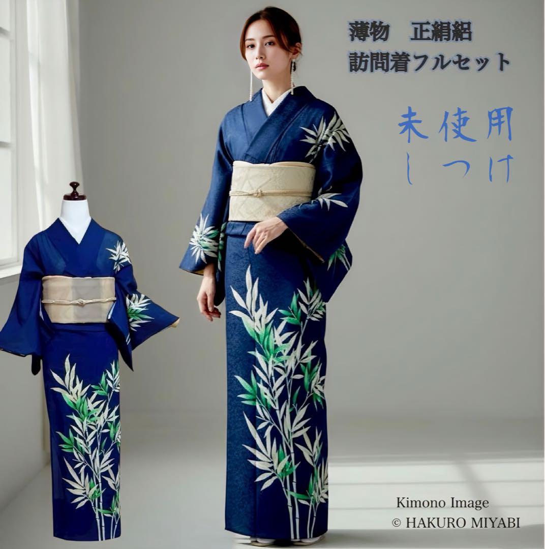 タ-38薄物 夏着物 正絹 絽 訪問着 フルセット 4点 - メルカリ