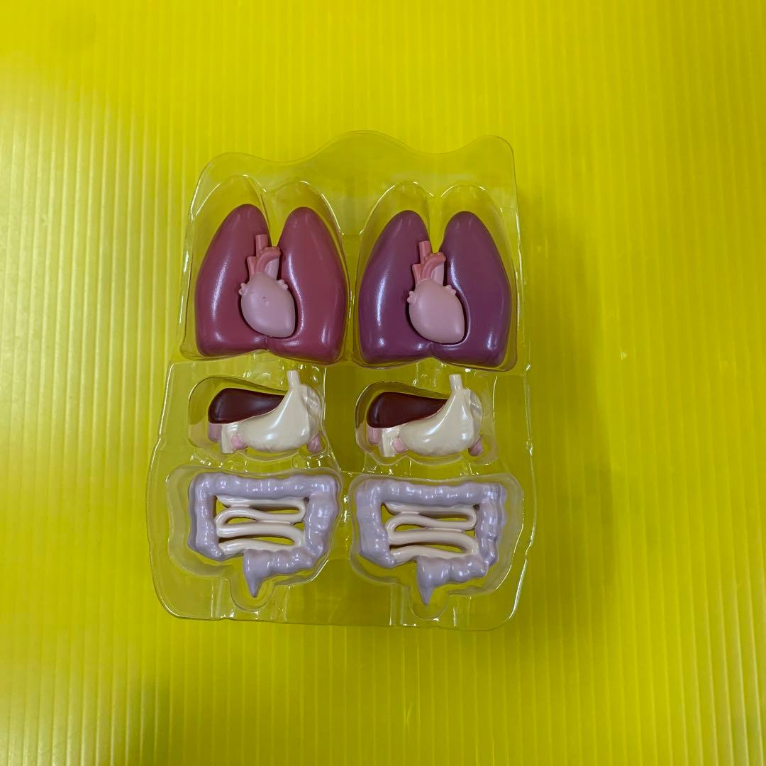 人体模型 ポルノグラフィティ A!SMART限定 - メルカリ