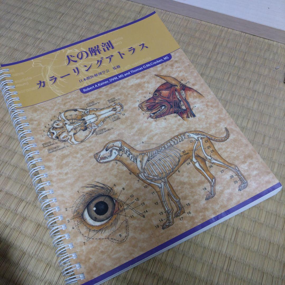 犬の解剖カラーリングアトラス - メルカリ