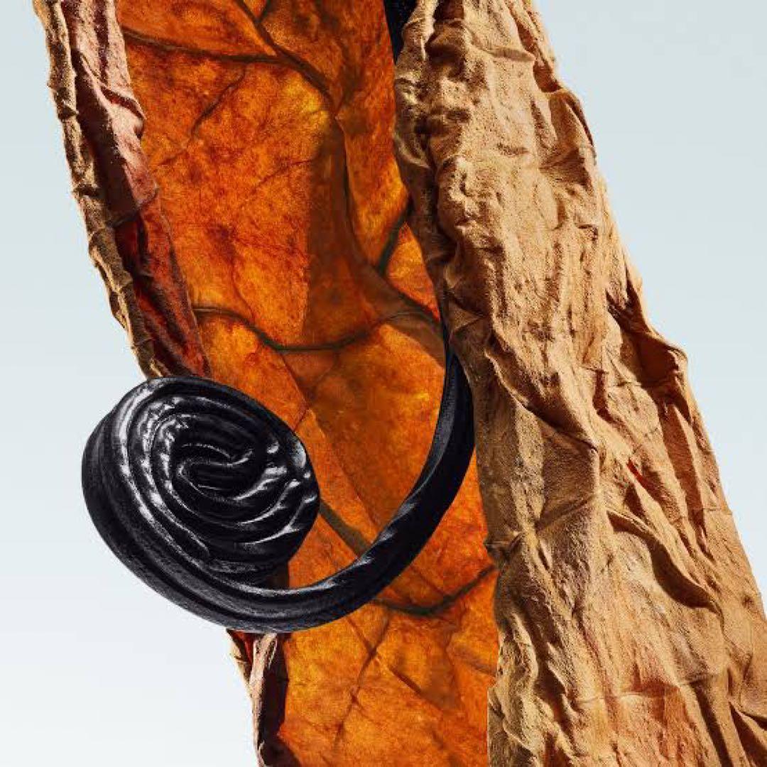 DRIES VAN NOTEN Havana gold 10ml - メルカリ