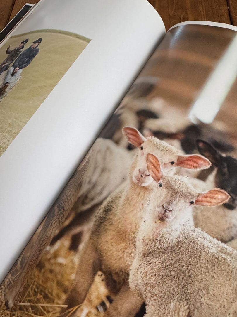 料理本 HUMAINS GUILLAUME SANCHEZ - メルカリ