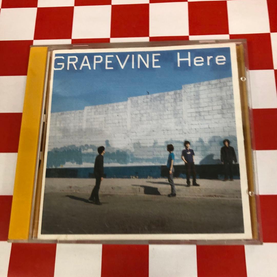 D24648】グレイプバイン/Here - メルカリ
