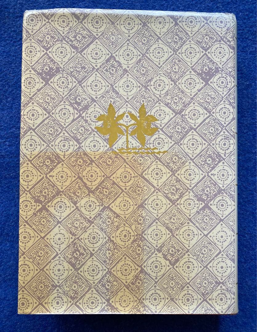 新汉日词典　（新漢日詞典）