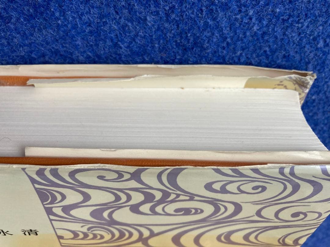 新汉日词典　（新漢日詞典）