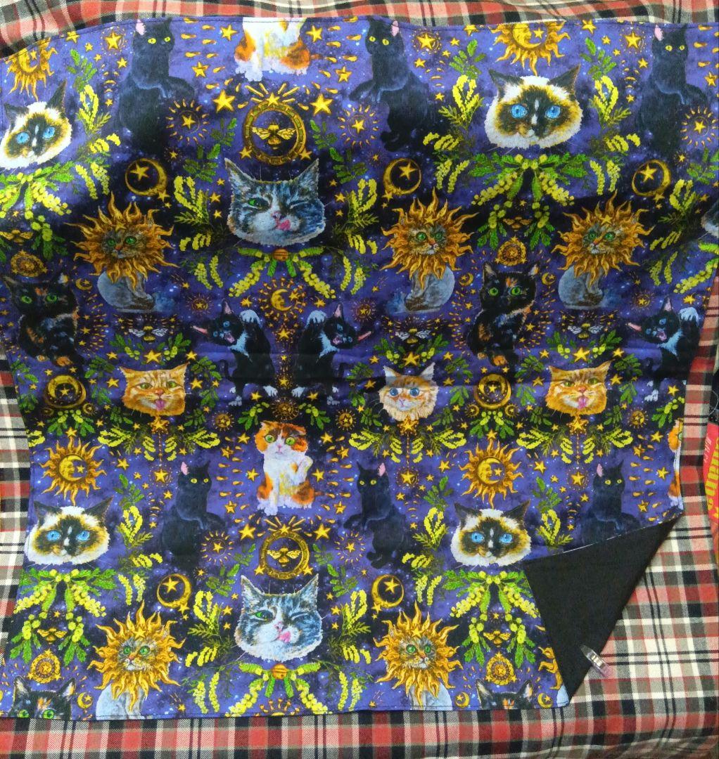 ねこねこ様専用 2025夏虹猫本舗新柄