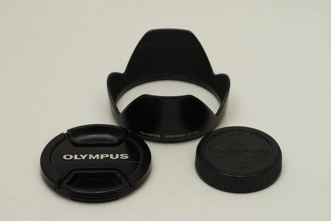 レンズ(ズーム) ZUIKO DIGITAL ED 12-60mm F2.8-4.0 SWD