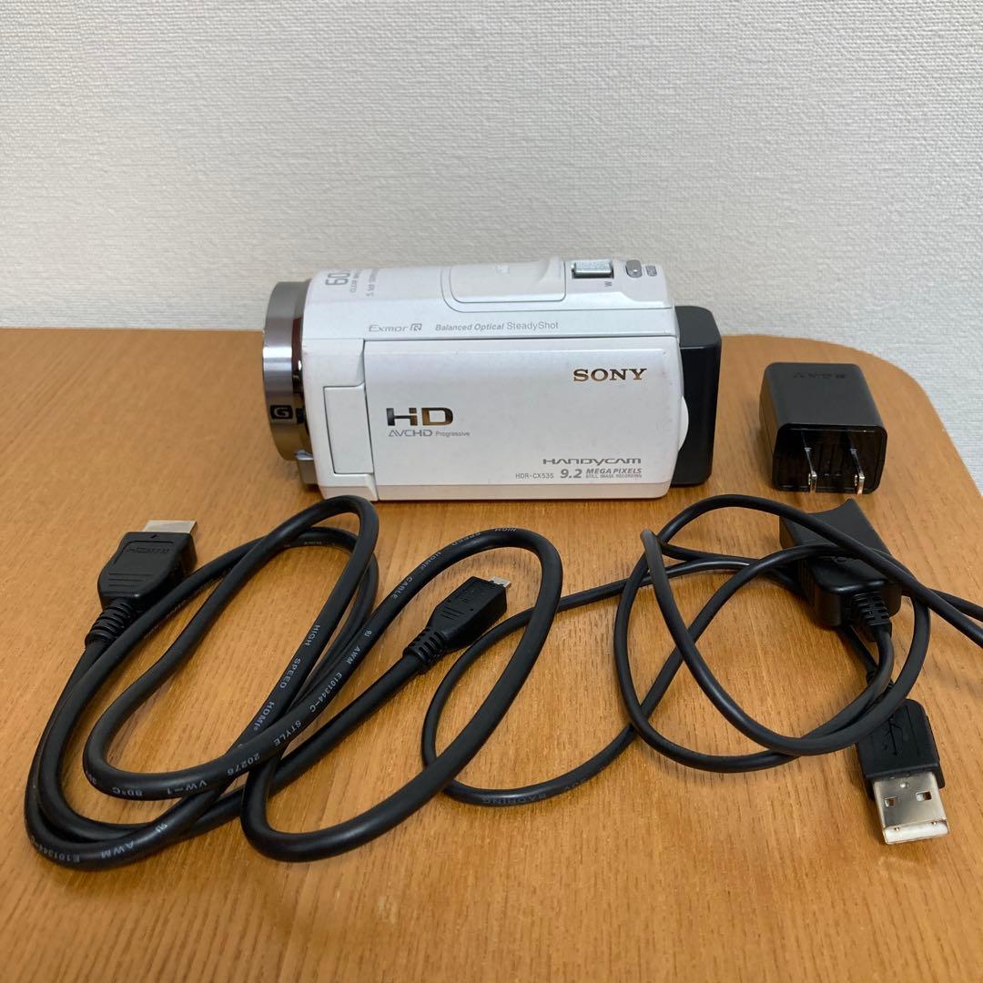 SONYハンディカム　HDR-CX535 HDR-CX535 特長 : 空間光学手ブレ補正 | デジタルビデオカメラ