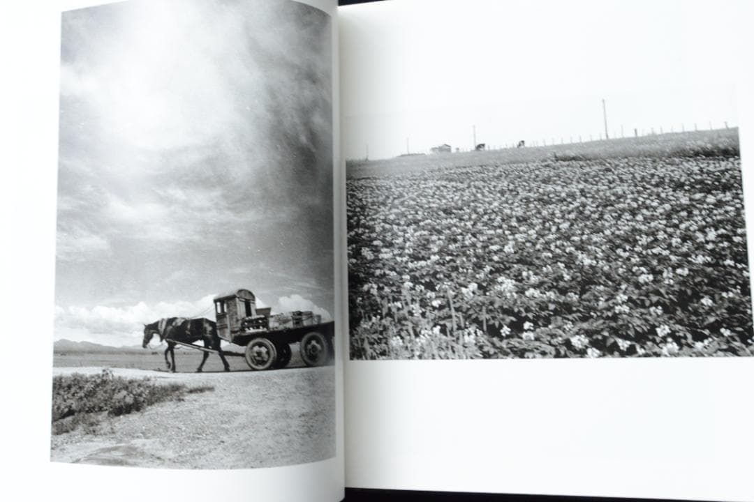 【hysteric Eleven】小島一郎 新品未読品　★★大幅に値下げしました