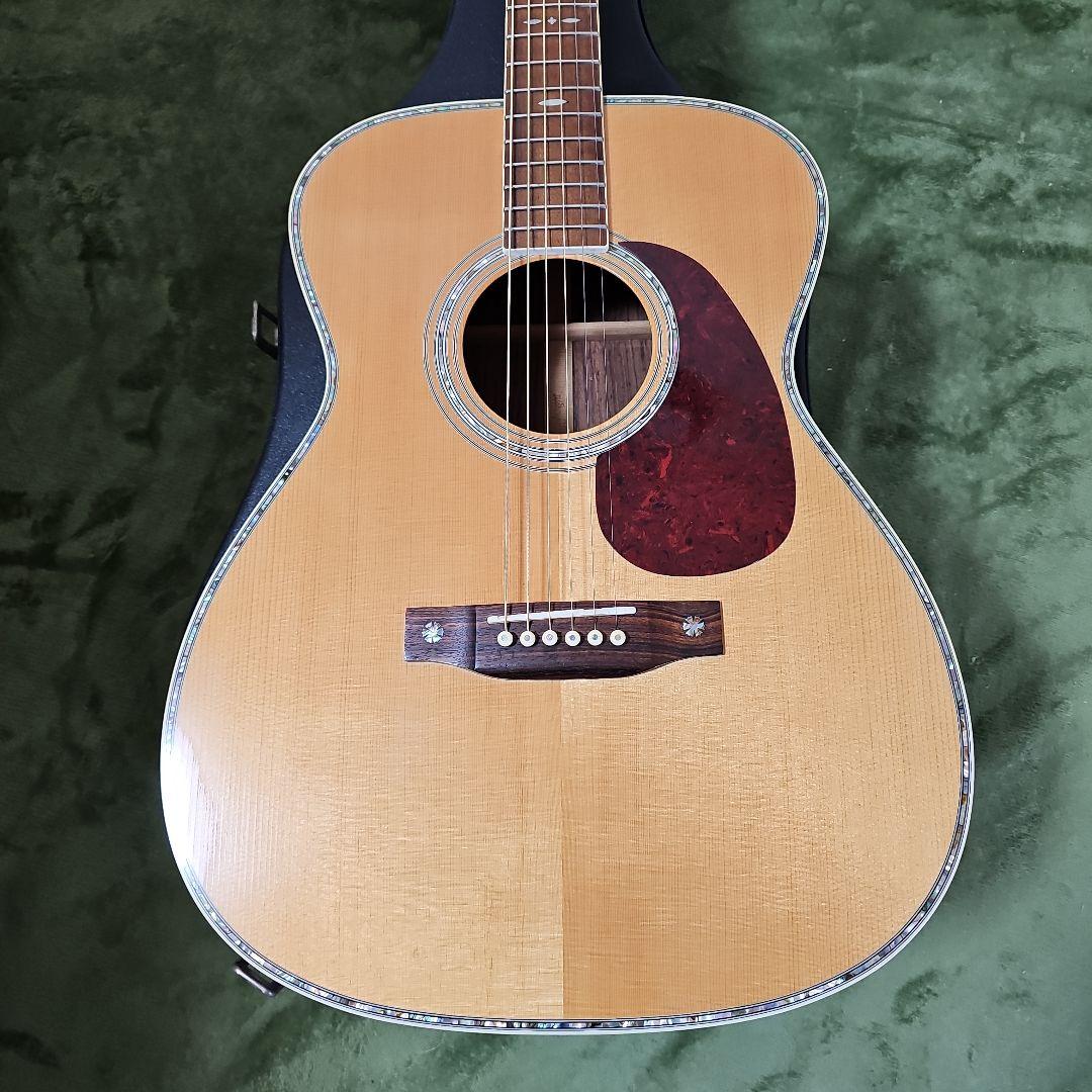 Aria.Dreadnought.AF-720トップ、バック単板。 - メルカリ