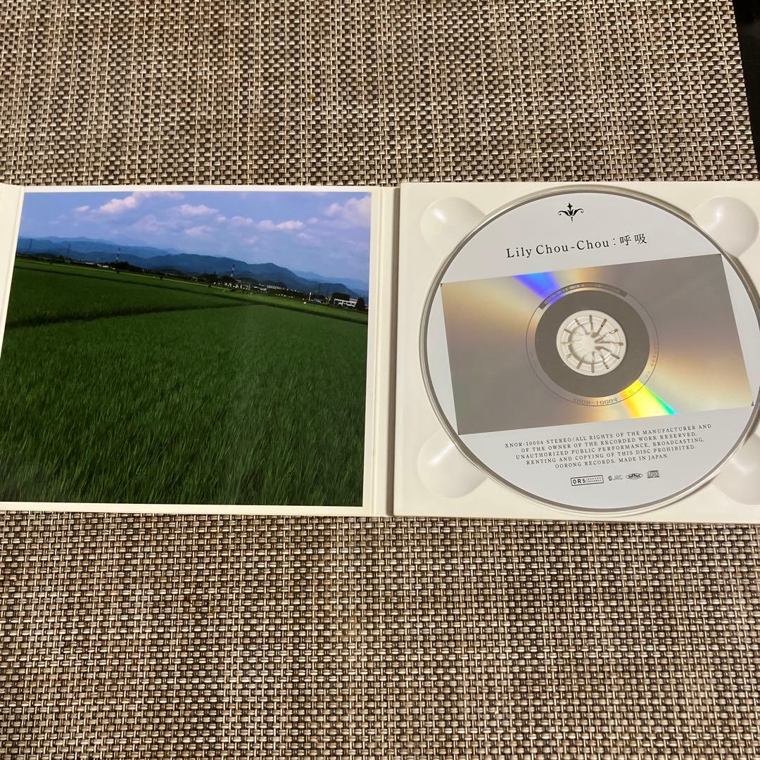 Lily Chou-Chou 呼吸 リリイ・シュシュのすべて ☆廃盤☆salyu - メルカリ