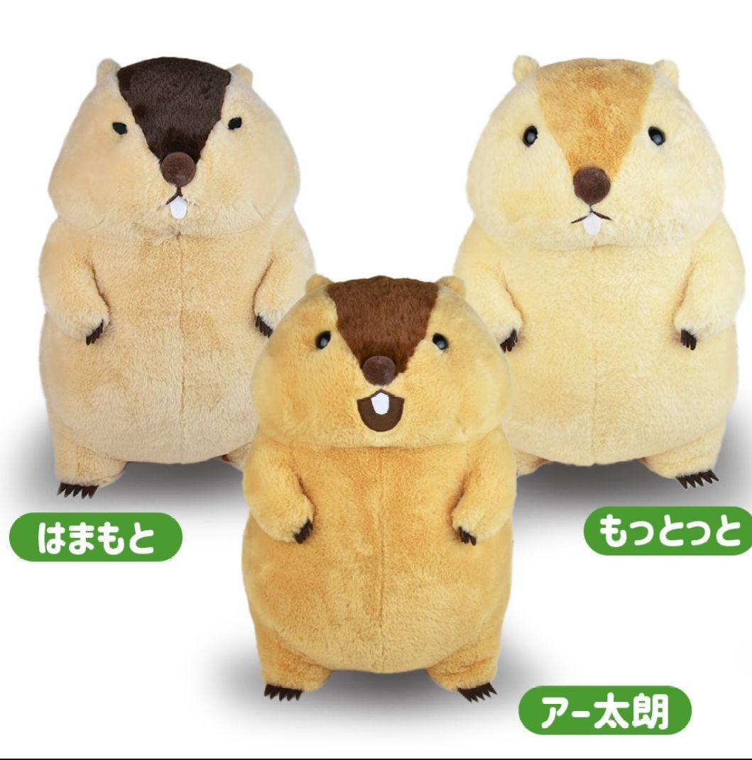 タイムセール！！マーモットのもっとっと ウルトラBIGぬいぐるみ3種