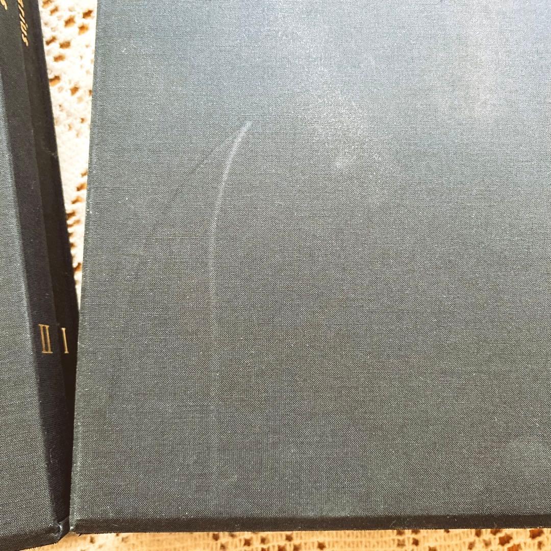 ストラディバリ 限定　写真集