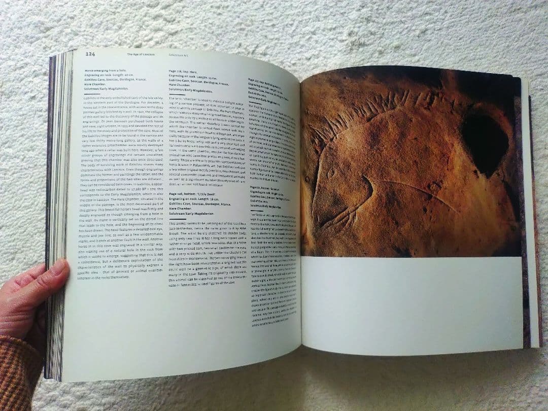 レア! 洞窟芸術 Cave Art ジャン・クロッテ Jean Clottes - メルカリ