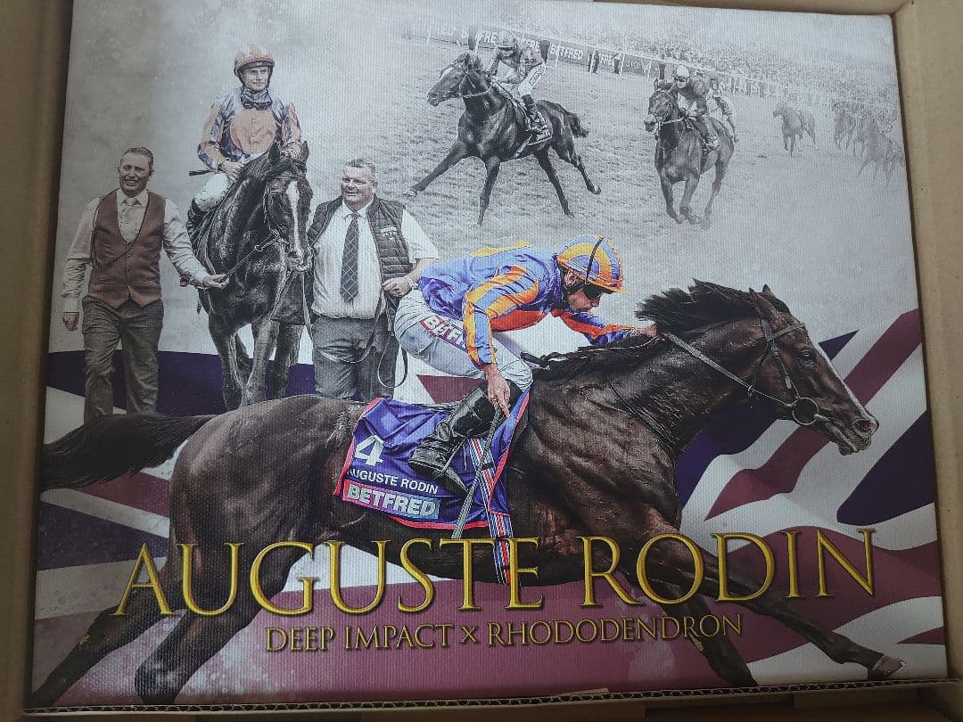 競馬　オーギュストロダン　ウォールデコパネル JRA-VAN複コロ限定景品 オーギュストロダン ウォールデコパネル - メルカリ