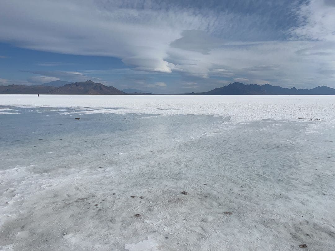 ヒマワリ　エンハンサー6本 エテルノ】レザーショルダーバッグ S 本革（商品番号：P25-20417