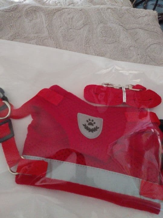 CUE!キューDIALOGUE+ダイアローグ九条柚葉 村上まなつ限定フォトブック