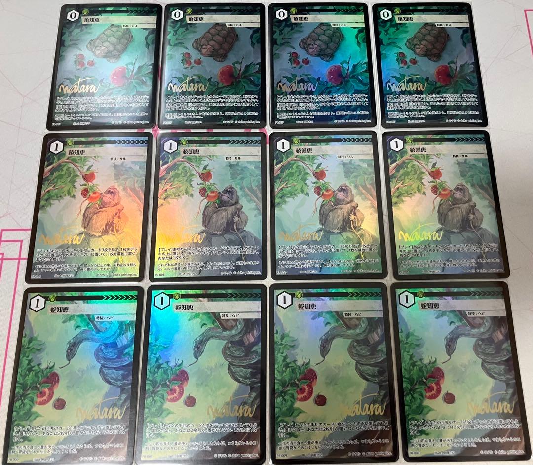 アニマルカードゲーム 亀知恵 蛇知恵 猿知恵 PR12枚セット ACG-037 亀知恵 | トレカ専門店【カードショップアジト ネットC支部】