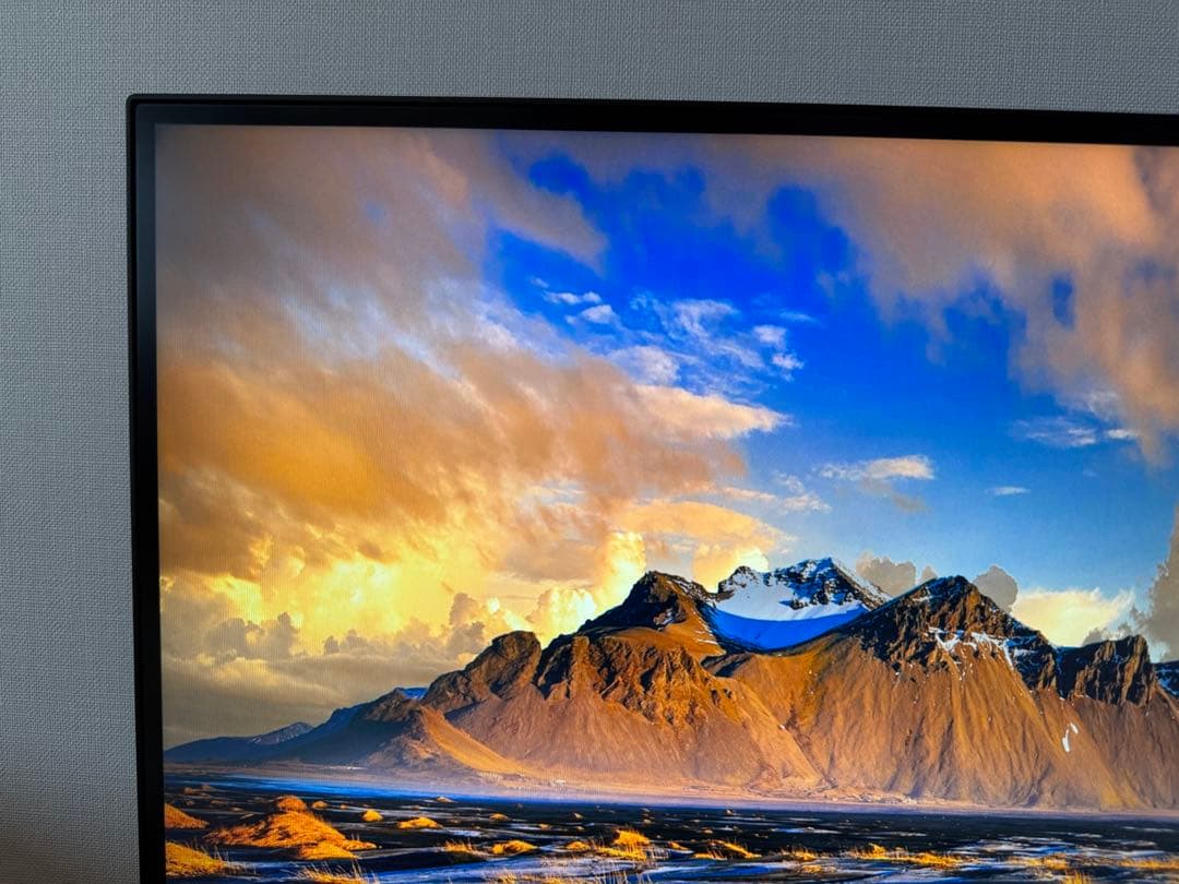 【Yuri0712】 2枚セット ThinkVision 本体のみ