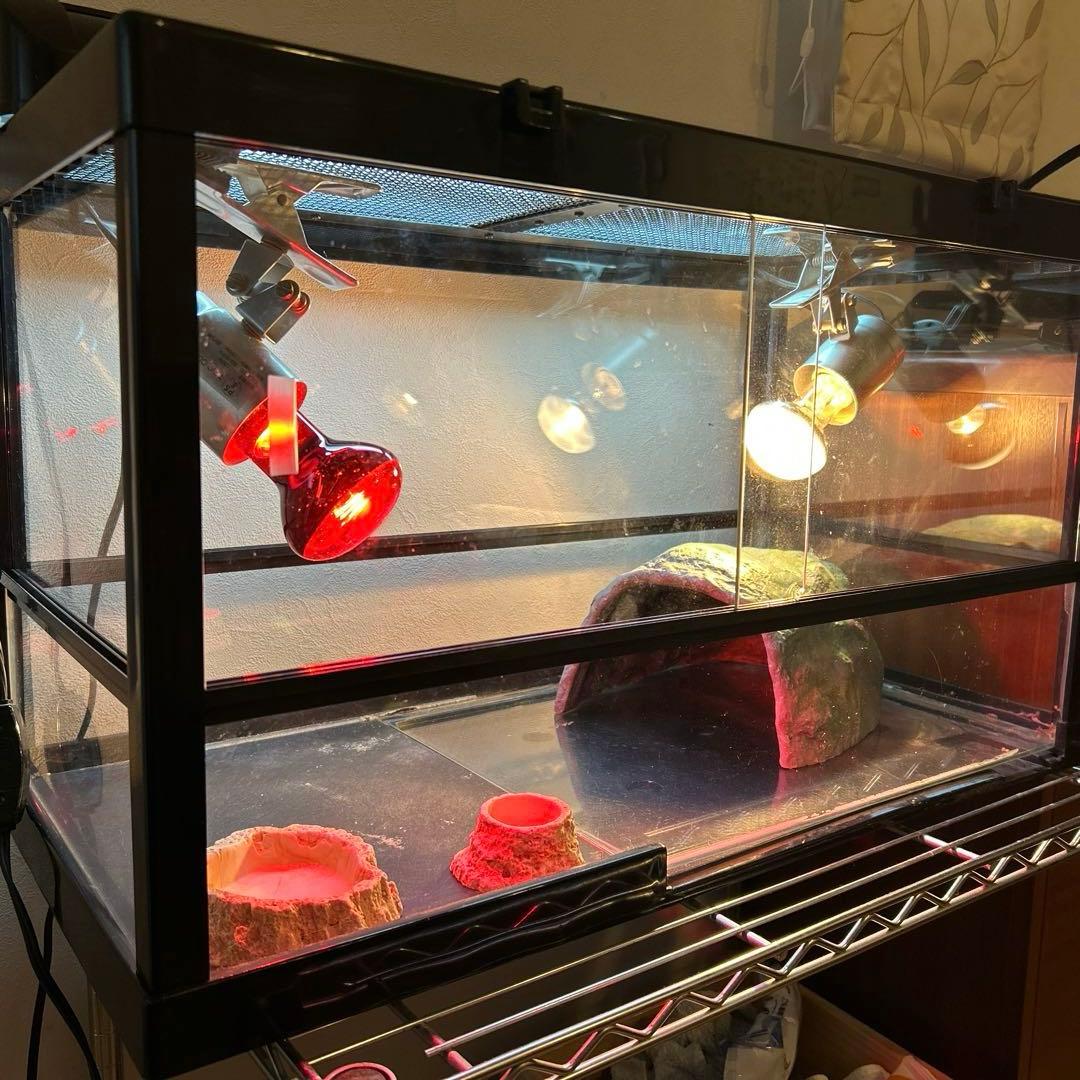 リクガメ】【トカゲ】爬虫類飼育ケージセット - メルカリ