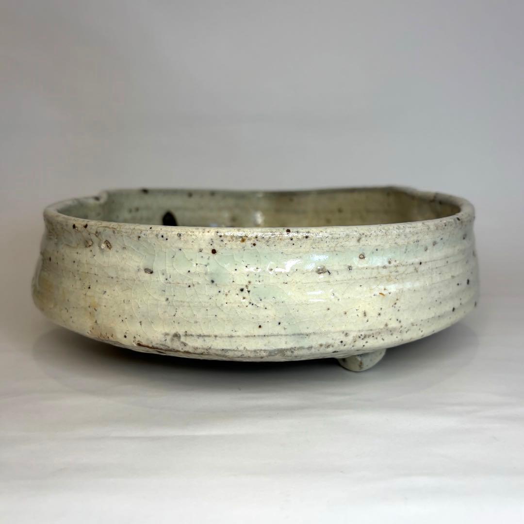 永江港史さん 絵志野焼 鹿 梅 鉢 小皿5枚セット - メルカリ