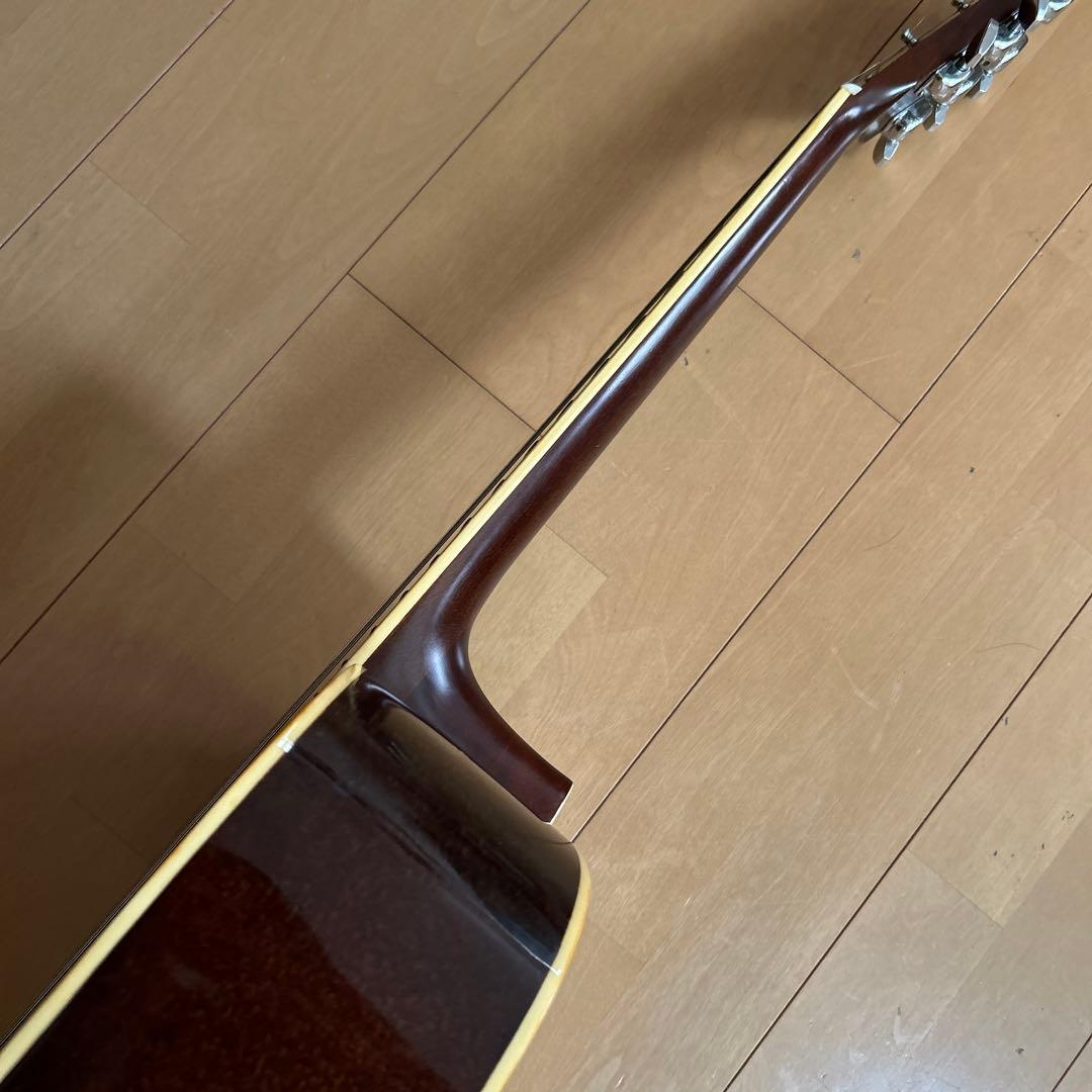 ぴょんたん様専用Cat's Eyas CE-200 東海楽器工房 - メルカリ