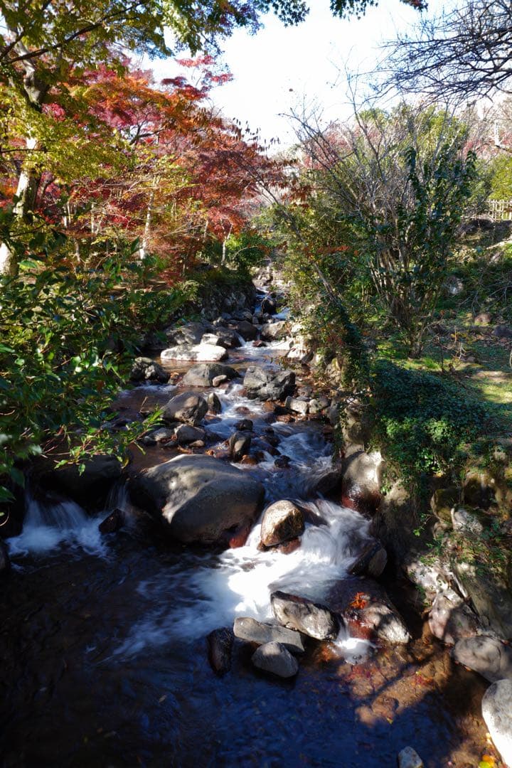 E16-50mm F3.5-5.6 OSS ズームレンズSELP1650