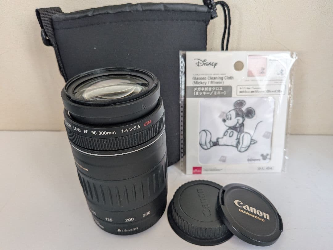 【爆速AF】Canon EF 90-300mm F4.5-5.6 USM 超望遠