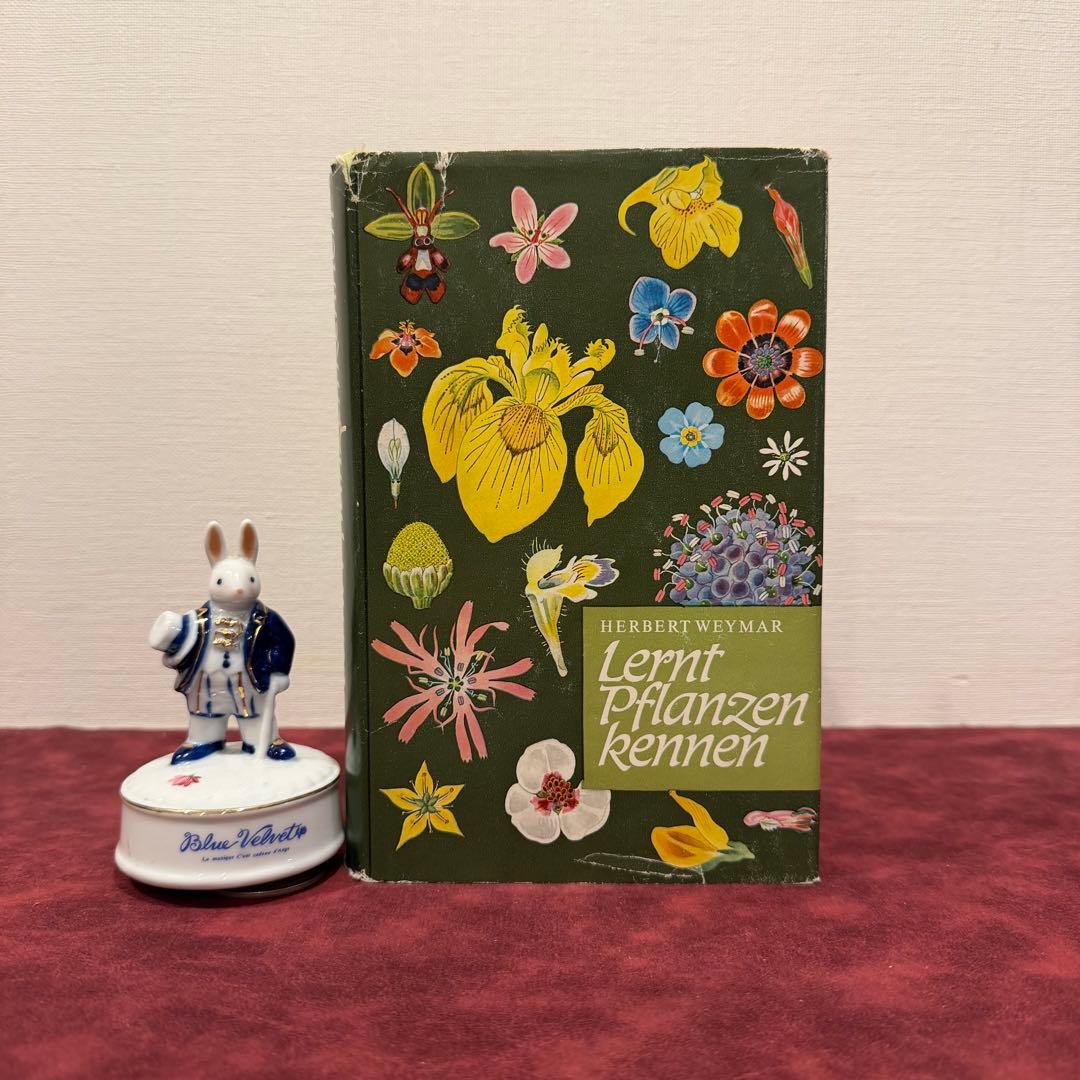 224⑩1971年ドイツ語植物図鑑 洋書古書 ジャンクジャーナル ボタン
