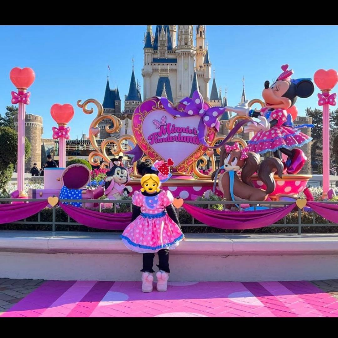 ディズニー パルパルーザ ミニー ファンダーランド ワンピース - メルカリ