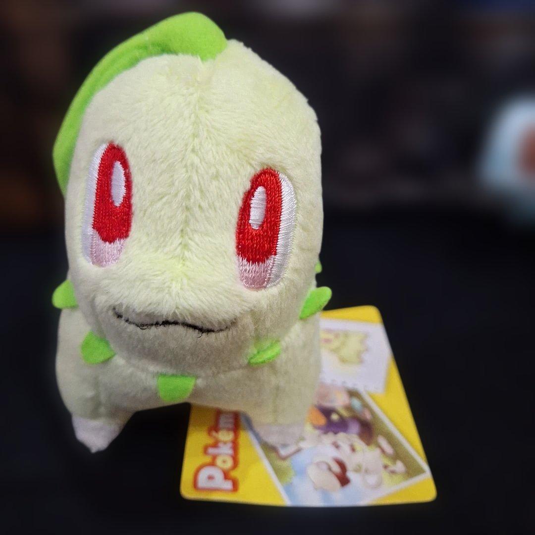 ポケモンセンター キャンバス チコリータ ワニノコ ヒノアラシ