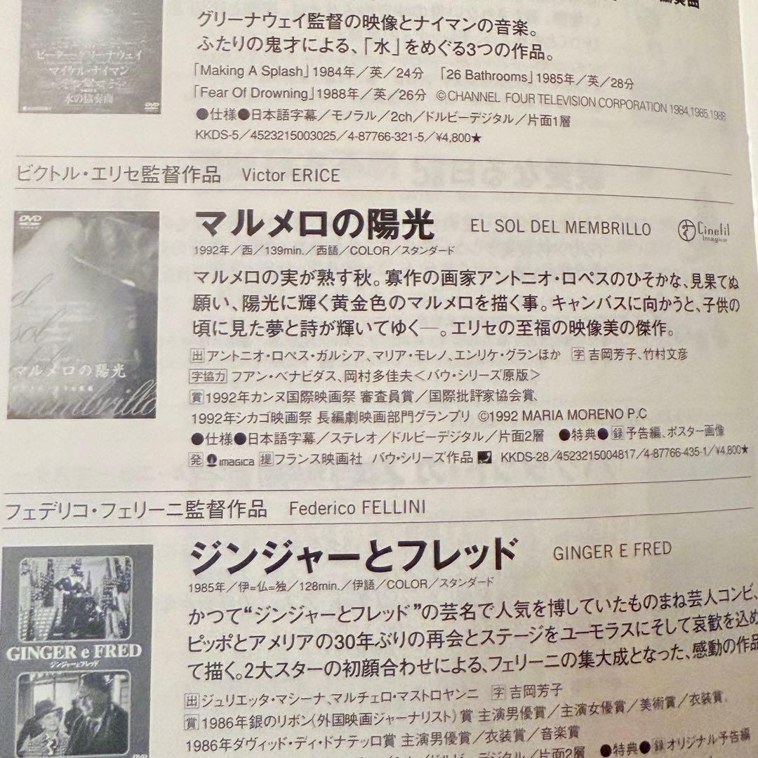 大雪特価‼️幻の傑作‼️「マルメロの陽光('92スペイン)」ヴィクトル