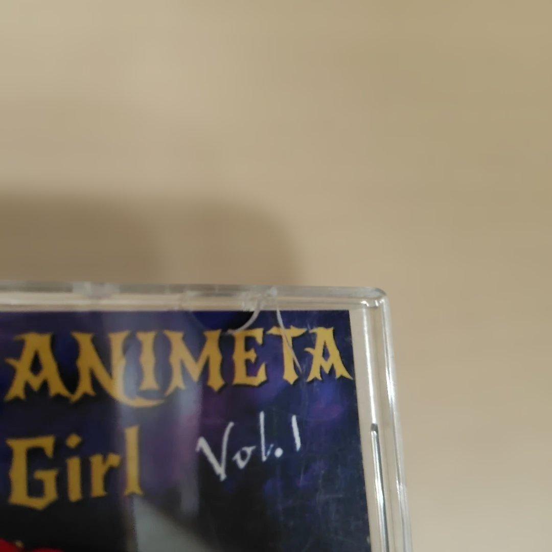 ANI Girl Vol.1 同人 アニメ メタル Mina隊長