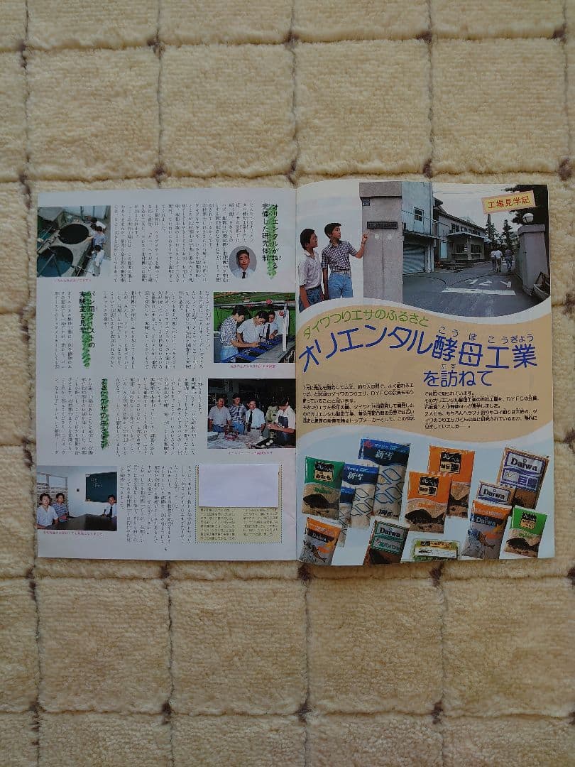 ダイワヤングフィッシングクラブ81年20号〜83年31号の12冊＋トランプ