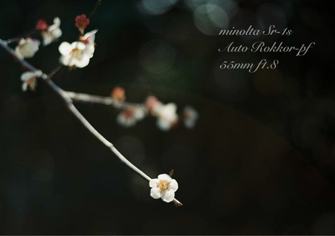 完動品＊美品＊初期保証☆minolta Sr-1s&ロッコールレンズ☆