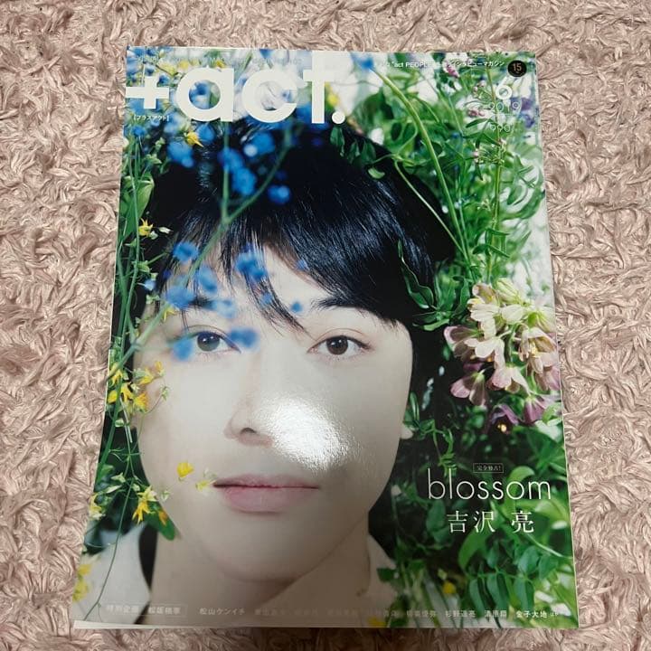 吉沢亮 雑誌 表紙 裏表紙 10冊 - メルカリ