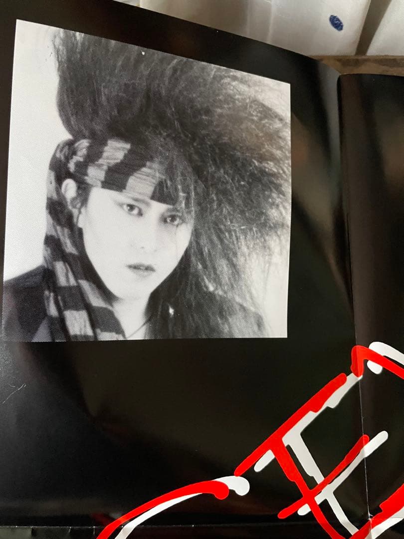 【特典付レアLP】LADIESROOM「SEX SEX SEX」ポスター冊子付