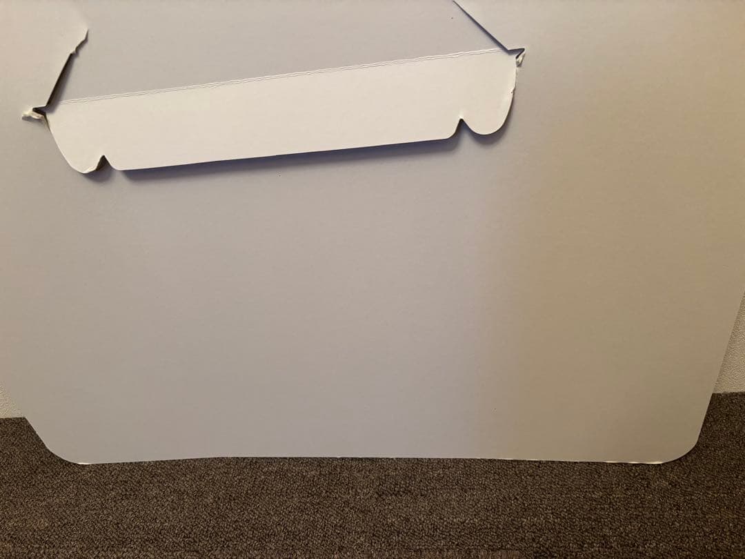 東京リベンジャーズ 佐野万次郎 マイキー 1月と7月 等身大パネル 受注