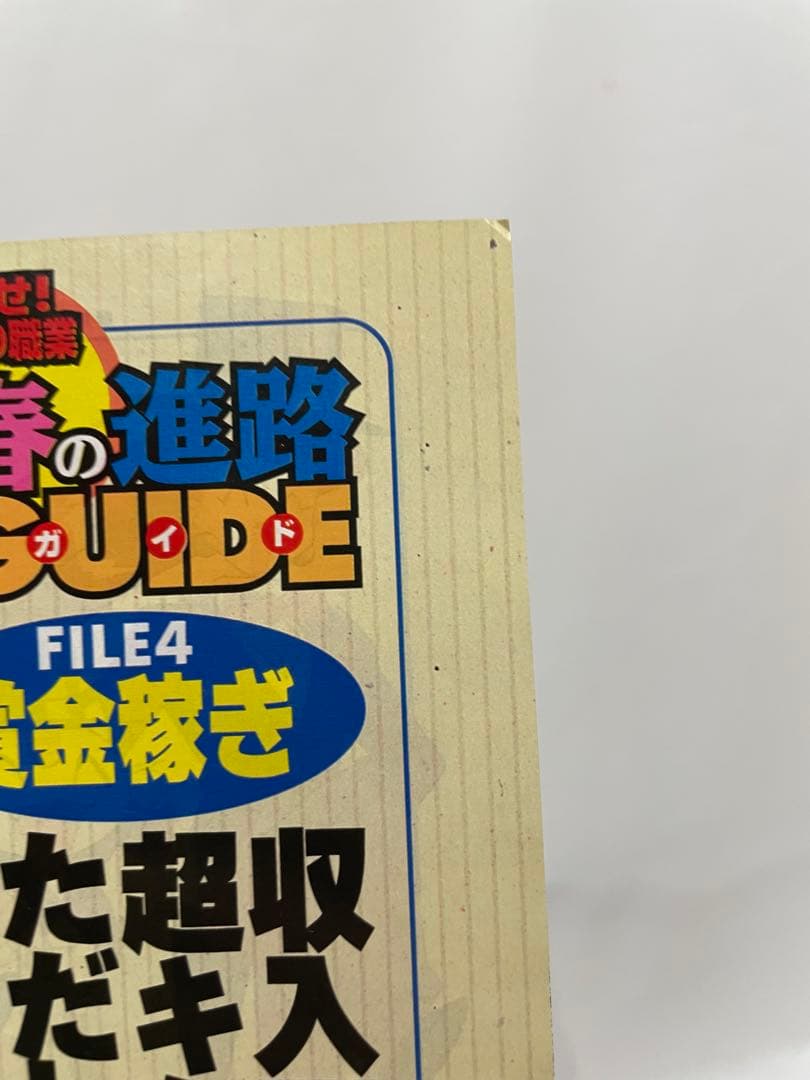 オレンジ諸島編 ルギア爆誕 記事 切抜き アニメディア 1999 ポケモン