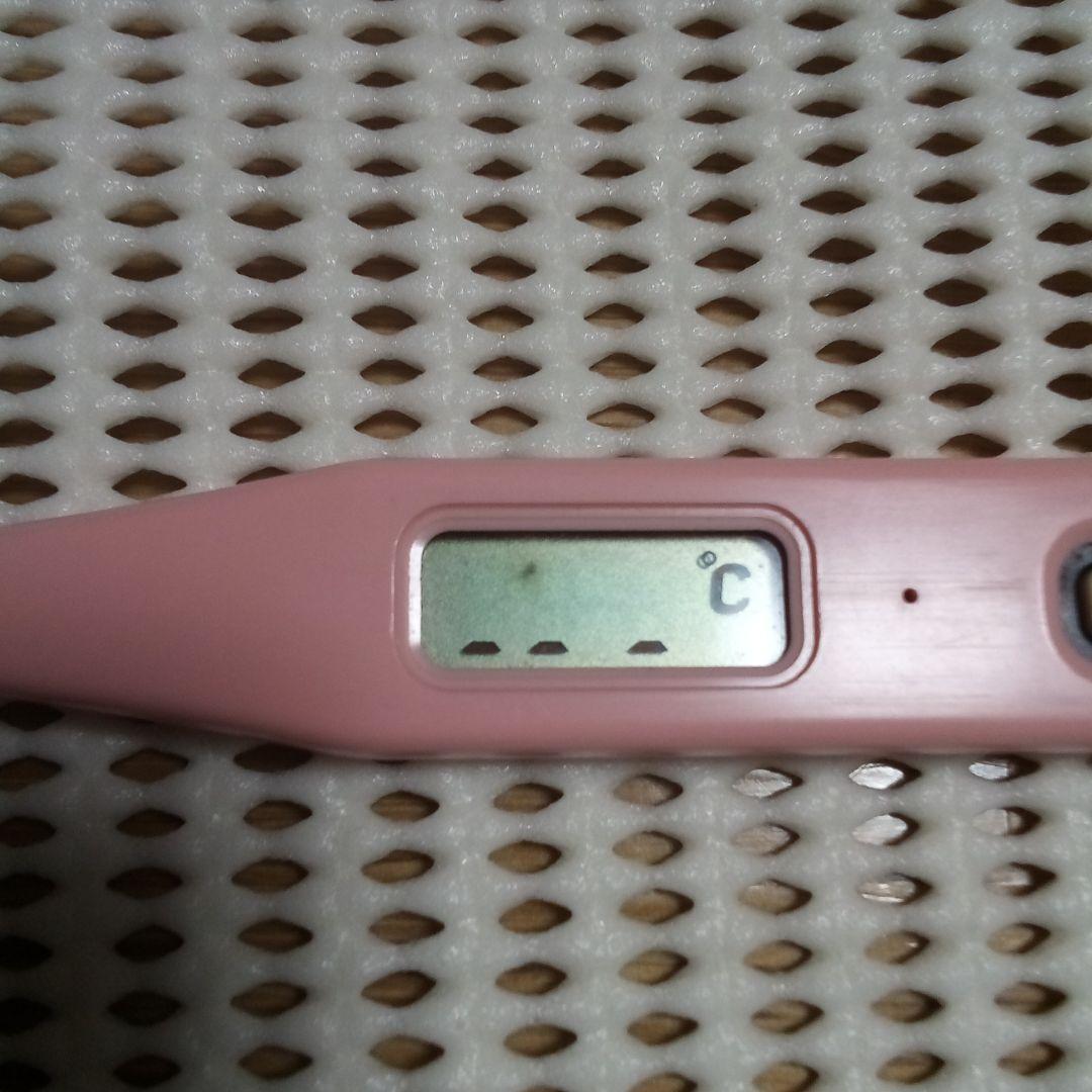 レア スヌーピー 体温計 シチズン 当時物 レトロ コレクター - メルカリ