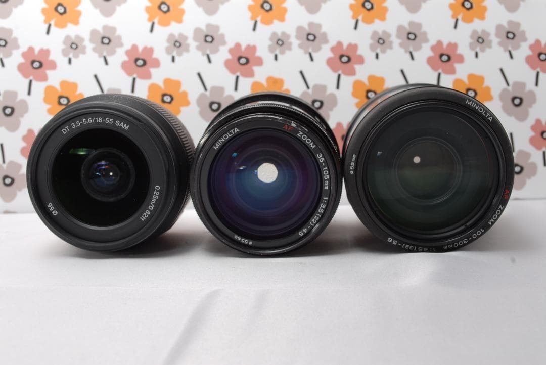 ❤SONY α65❤1秒10コマの高速連射❤トリプルレンズ❤超望遠❤超高画質