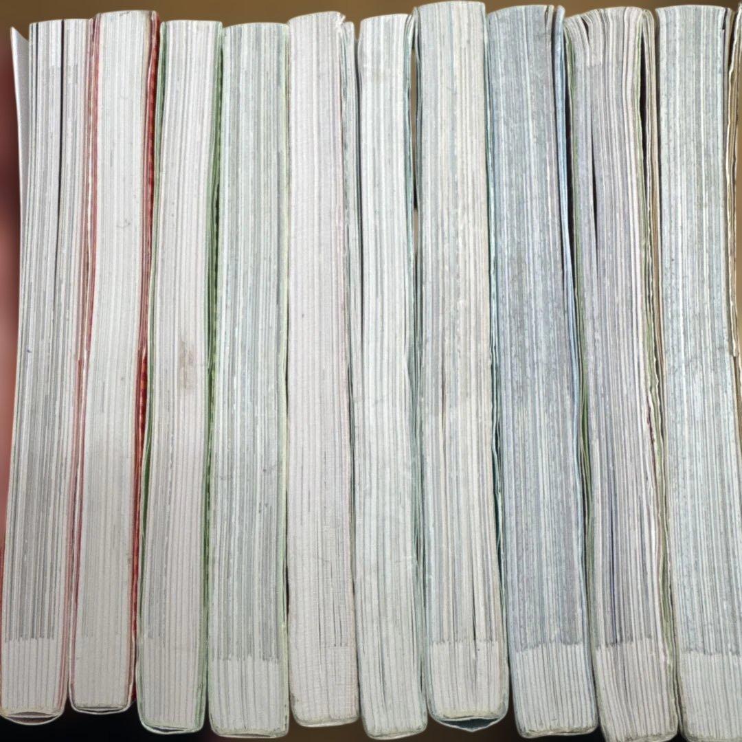 サバイバルシリーズ10冊セット - メルカリ