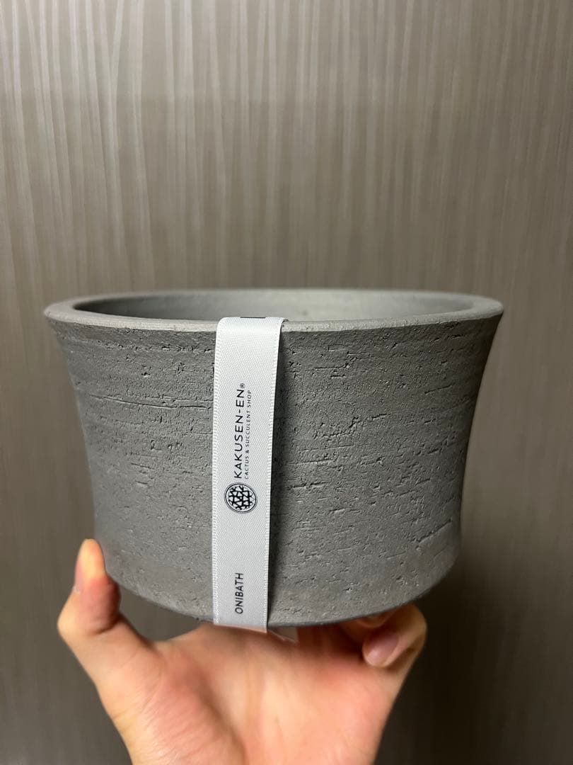 未使用 たけろうポット 検) パキプス 芽の巣山 Tacson カタフ ホリダス