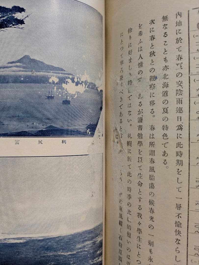 東北帝国大学農科大学 明治43年 富貴堂書房 明治レトロ