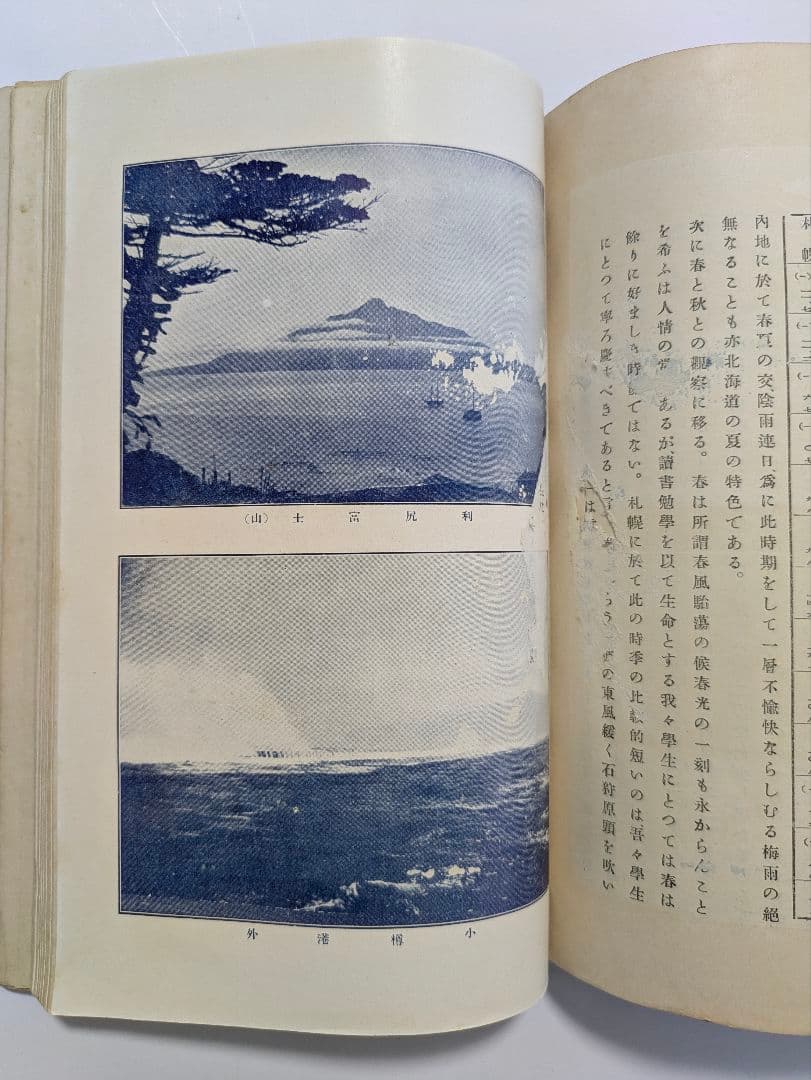 東北帝国大学農科大学 明治43年 富貴堂書房 明治レトロ