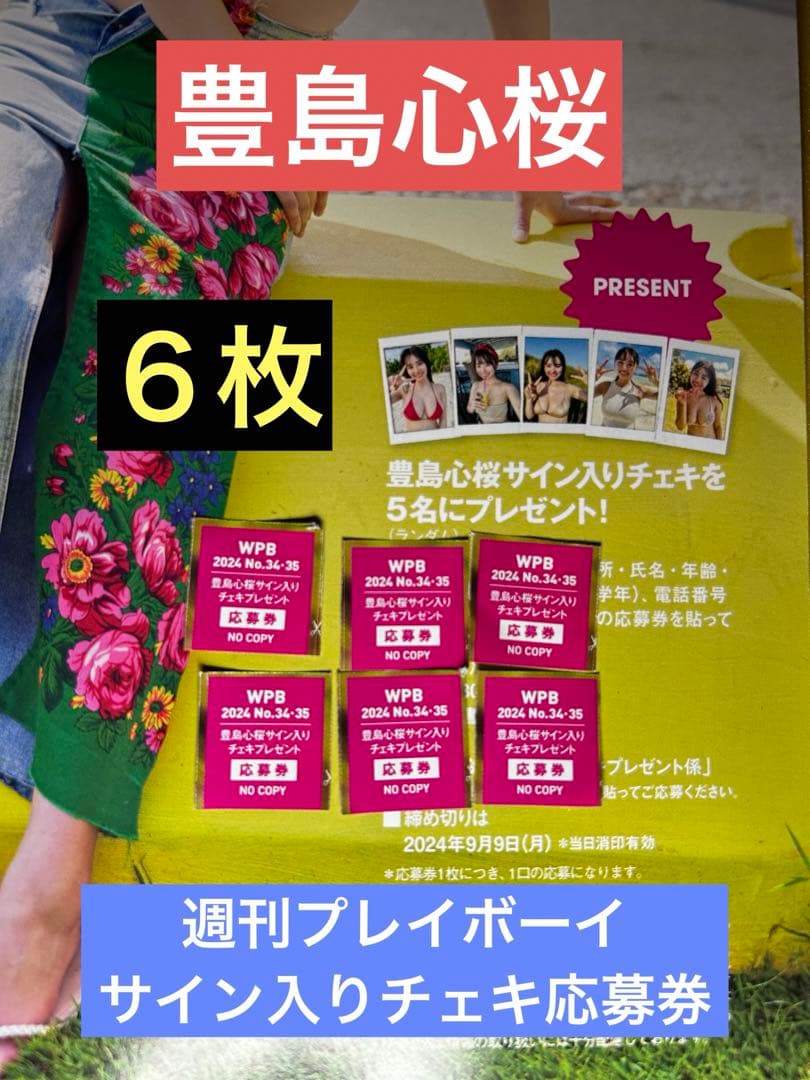 ☆豊島心桜☆ 週刊プレイボーイ 直筆サイン入りチェキ プレゼント応募