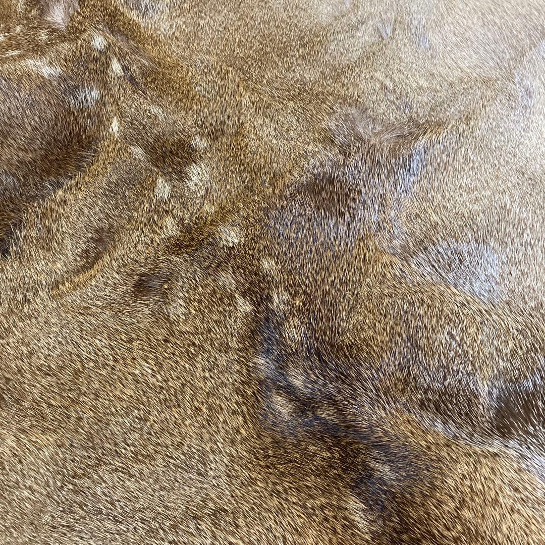 蝦夷鹿 エゾシカ 毛皮敷物 キャンプ ブッシュクラフト - メルカリ