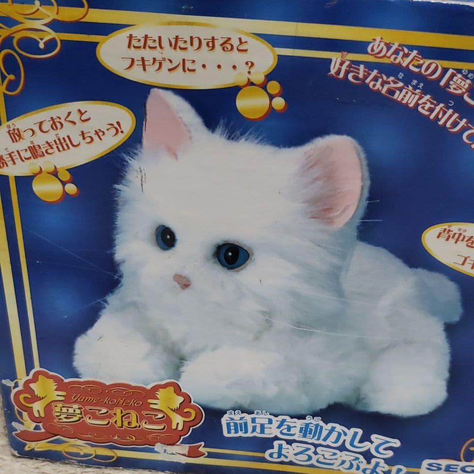 夢こねこ ブラウン 希少 - メルカリ